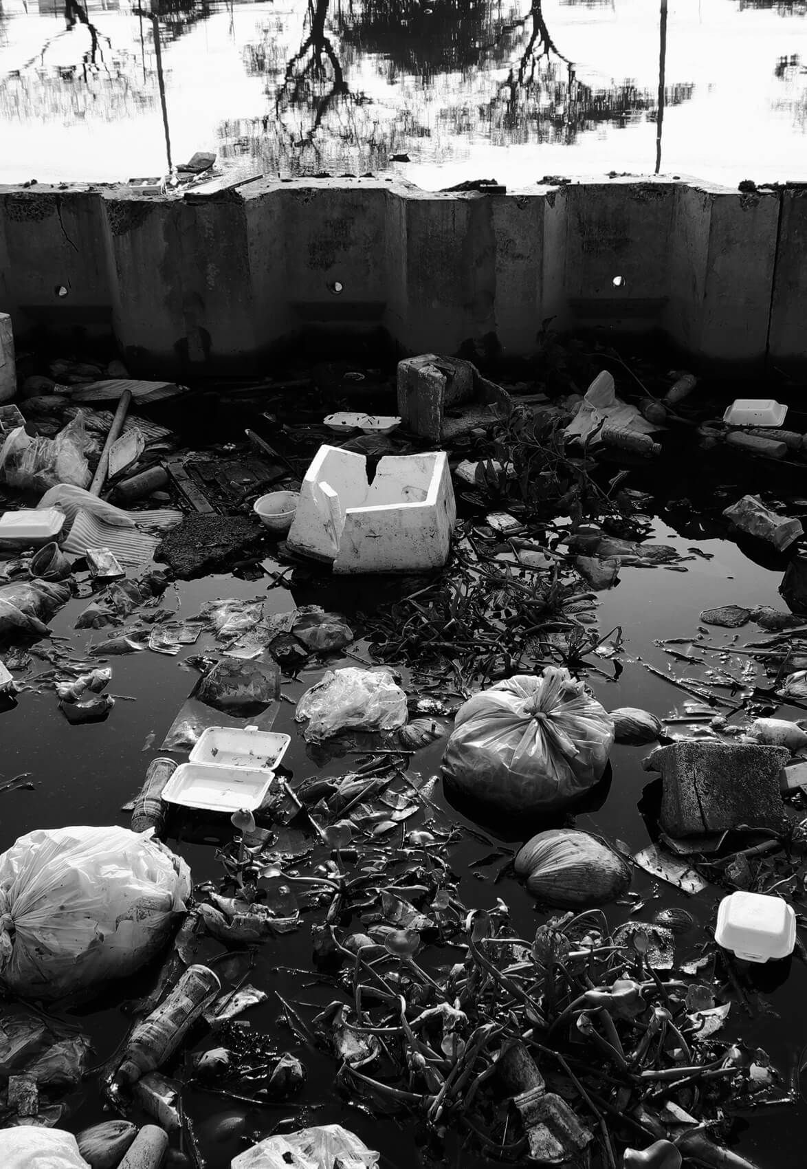 Mexico's Sewage Crisis Is Destroying San Diego
